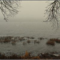 пришел туман.... :: Aleksandr Gal пришел туман.... :: Aleksandr Gal