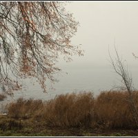 *** :: Aleksandr Gal *** :: Aleksandr Gal