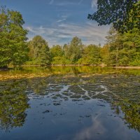 Рыбный пруд :: Jakob Dick