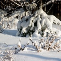 8 декабря 2007года в Самаре. Триптих.Часть 2. :: MILAV V