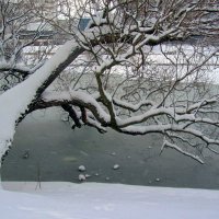 Над озером склоняясь :: Сергей Карачин