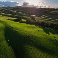 Зелёные поля :: Алекс Римский Зелёные поля :: Алекс Римский