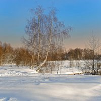 Зима морозная :: Александр Иванович Шитов