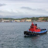 Буксир "Добрыня" :: Владимир Соколов (svladmir)