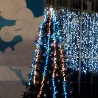 Ёлка новогодняя :: Дмитрий Никитин Ёлка новогодняя :: Дмитрий Никитин