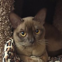 Люблю позировать :: Леонид Гакенберг