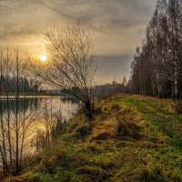 Во такая зима в Подмосковье 3 :: Андрей Дворников