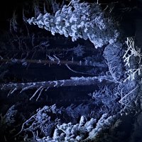 Зимняя ночь. :: Юрий 