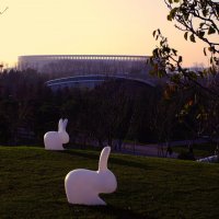 Вид на Краснодар Арену. :: Юрий Полторыхин.