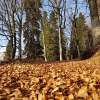 Абхазия :: Tata Wolf Абхазия :: Tata Wolf