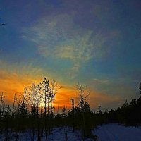 Вечерняя заря в тайге! :: Владимир 