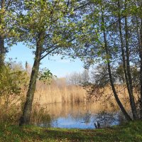 Картинки осени :: Рита Симонова Картинки осени :: Рита Симонова