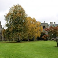 Осень в парке королевского дворца :: Ольга Осень в парке королевского дворца :: Ольга