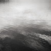 Фотография :: Денис Безногов