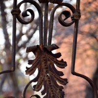 Осень. Старая ограда :: Павленко Михаил 