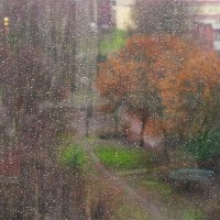 Поздняя осень, скорее... :: Юрий Куликов Поздняя осень, скорее... :: Юрий Куликов