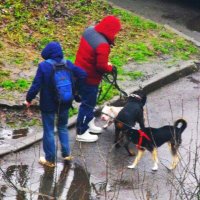 Запутались... :: Юрий Куликов Запутались... :: Юрий Куликов