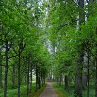 ПЕТРОВСКОЕ, вотчина Ганнибалов. :: Виктор Осипчук ПЕТРОВСКОЕ, вотчина Ганнибалов. :: Виктор Осипчук