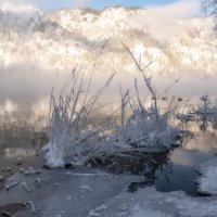 Морозная свежесть :: Марина Фомина. Морозная свежесть :: Марина Фомина.