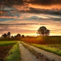 sunrise :: Elena Wymann