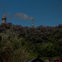 Серпухов :: Chortyla 