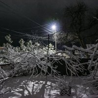 вечером был снег . :: petyxov петухов вечером был снег . :: petyxov петухов