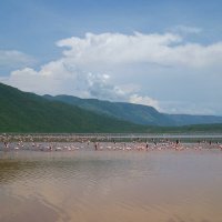 Солёное озеро Богория, Кения. :: unix (Илья Утропов) Солёное озеро Богория, Кения. :: unix (Илья Утропов)