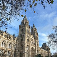 Лондон :: Eldar Baykiev Лондон :: Eldar Baykiev