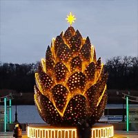 Вот такая "ёлочка" у нас! :: Надежда Вот такая "ёлочка" у нас! :: Надежда