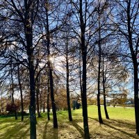 Осенний парк :: Александр Конов Осенний парк :: Александр Конов