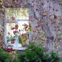 Осень :: Елена Суханова Осень :: Елена Суханова