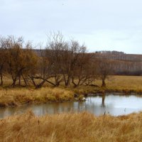 Унылая пора. :: nadyasilyuk Вознюк Унылая пора. :: nadyasilyuk Вознюк