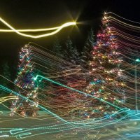 Съёмка на ходу - подпрыгнули на лежачем полицейском :) :: Валерий Иванович