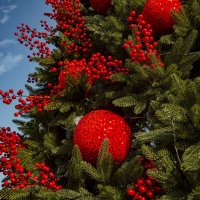 Ёлка Фрагмент :: Анатолий Чикчирный