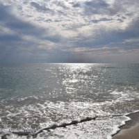 Природа Крыма :: Amazing Cosmea