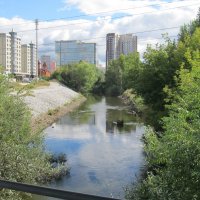 р. Исеть :: Елена Шаламова р. Исеть :: Елена Шаламова