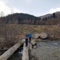 АБХАЗИЯ 2025 НОЯБРЬ :: Tata Wolf АБХАЗИЯ 2025 НОЯБРЬ :: Tata Wolf