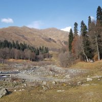 АБХАЗИЯ 2025 НОЯБРЬ :: Tata Wolf АБХАЗИЯ 2025 НОЯБРЬ :: Tata Wolf