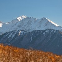 ... :: Жора Житников ... :: Жора Житников