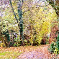 В ОСЕННЕМ САДУ... :: Elvira E. В ОСЕННЕМ САДУ... :: Elvira E.