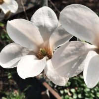 Тёплые воспоминания :: Liudmila LLF