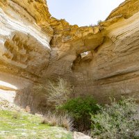 Казахстан. :: Андрей Щукин Казахстан. :: Андрей Щукин