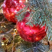 Предновогоднее :: Татьяна Тюменка Предновогоднее :: Татьяна Тюменка