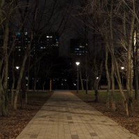 ***** :: юрий поляков ***** :: юрий поляков