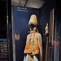 Полный наряд казачки. :: Ольга Полный наряд казачки. :: Ольга