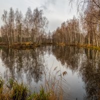 Во такая зима в Подмосковье 6 :: Андрей Дворников