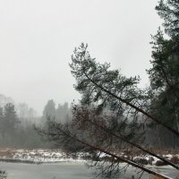 Карелия.Декабрь.Временная оттепель2 :: Мария 