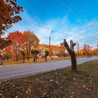 *** :: Яна Горбунова