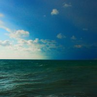 Перед бурей. :: Марина Леонидовна Перед бурей. :: Марина Леонидовна