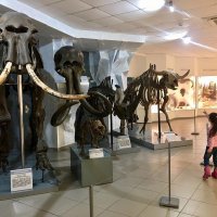 Дети в краеведческом музее :: Галина Нестратова Дети в краеведческом музее :: Галина Нестратова